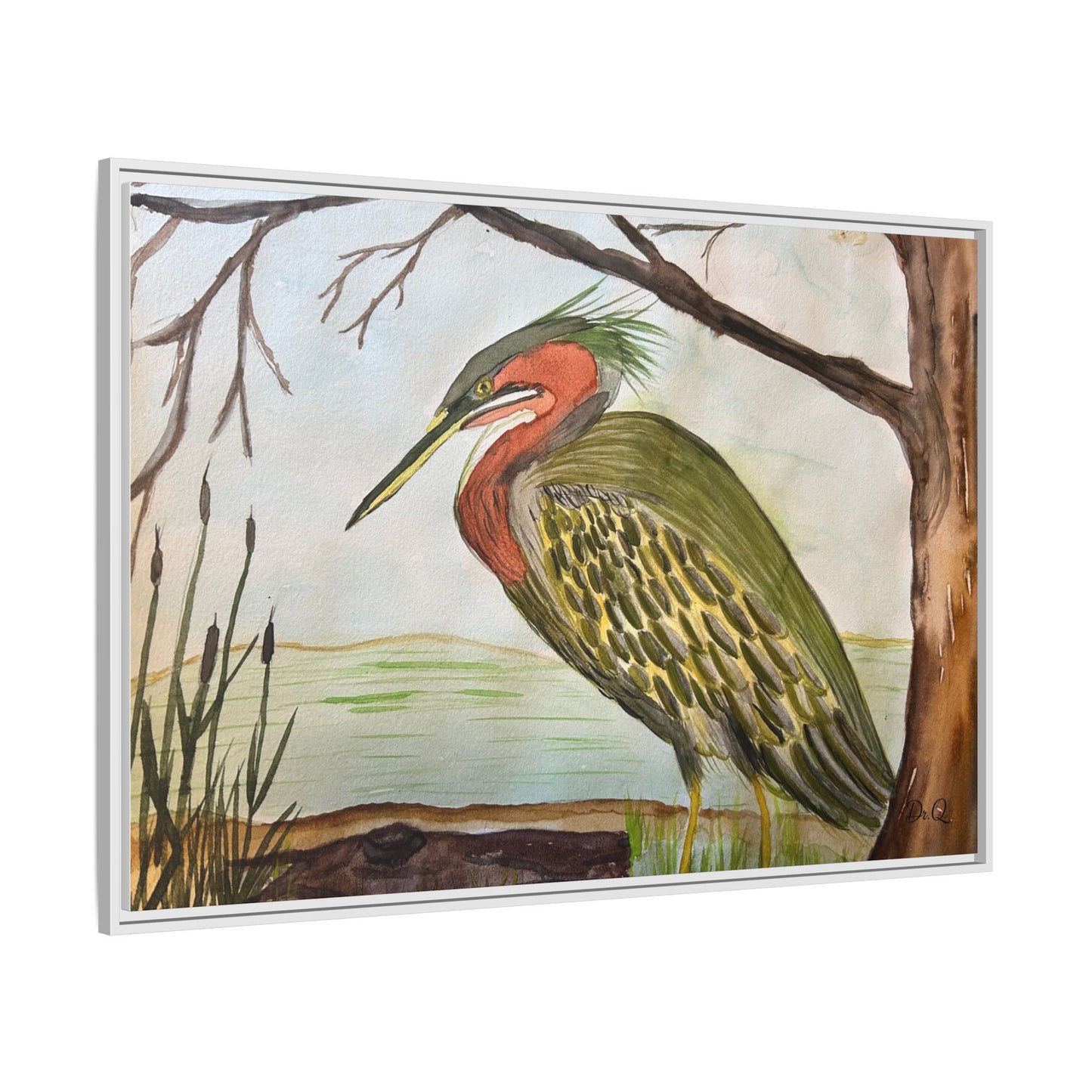 Green Heron Wetlands Print on Canvas