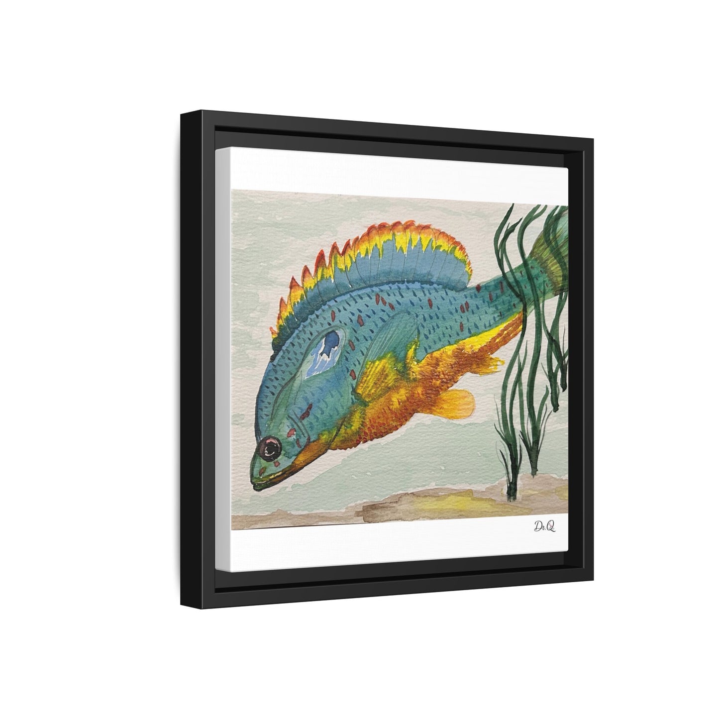 Texas Spotted Sunfish Watercolor Wall Art - Framed Matte Canvas
