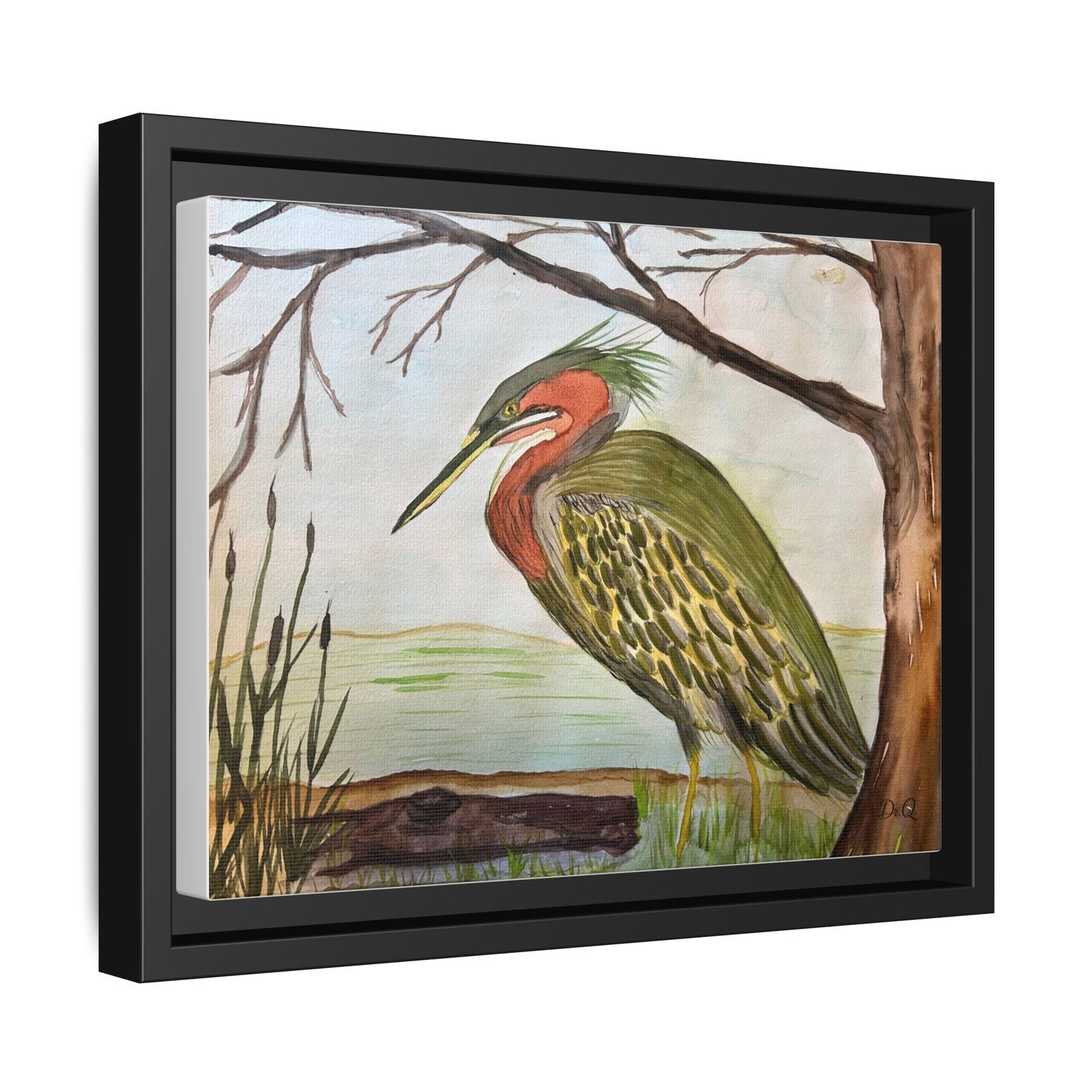 Green Heron Wetlands Print on Canvas