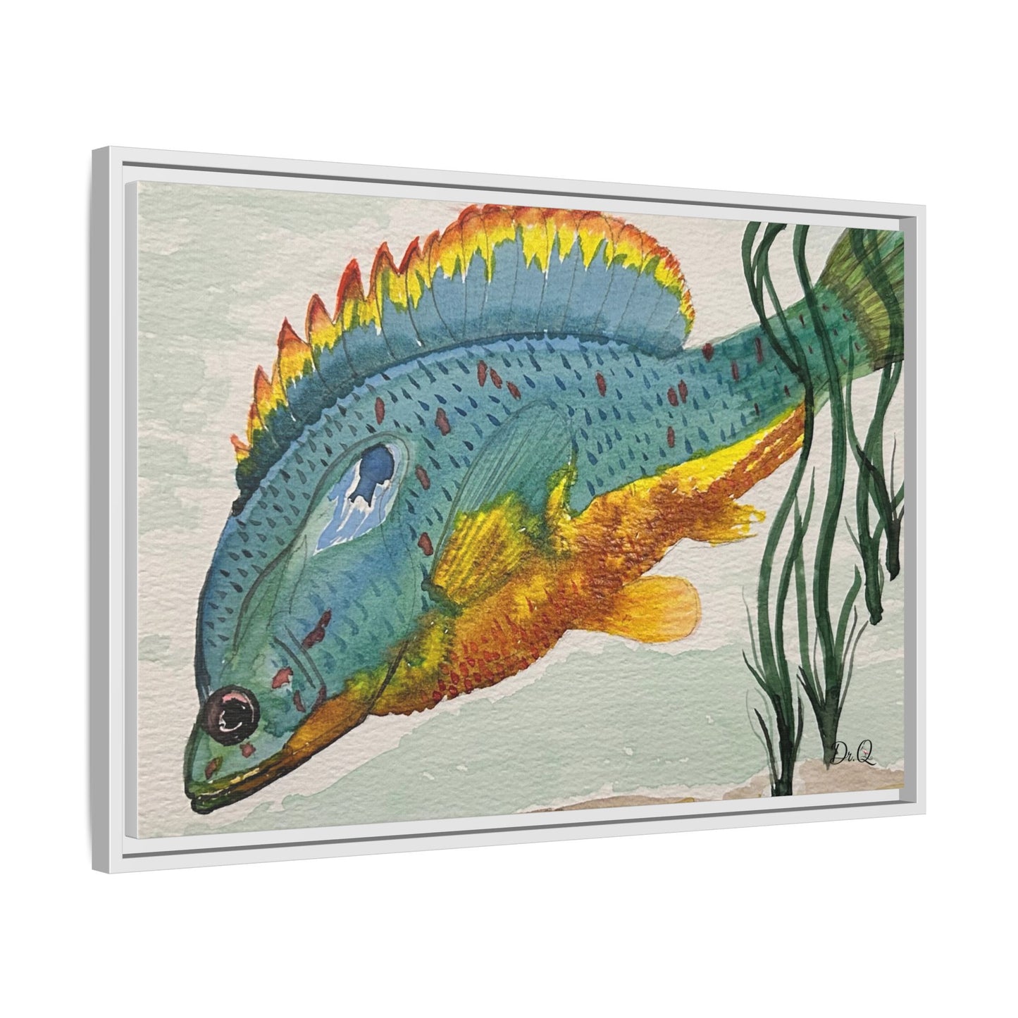 Texas Spotted Sunfish Watercolor Wall Art - Framed Matte Canvas
