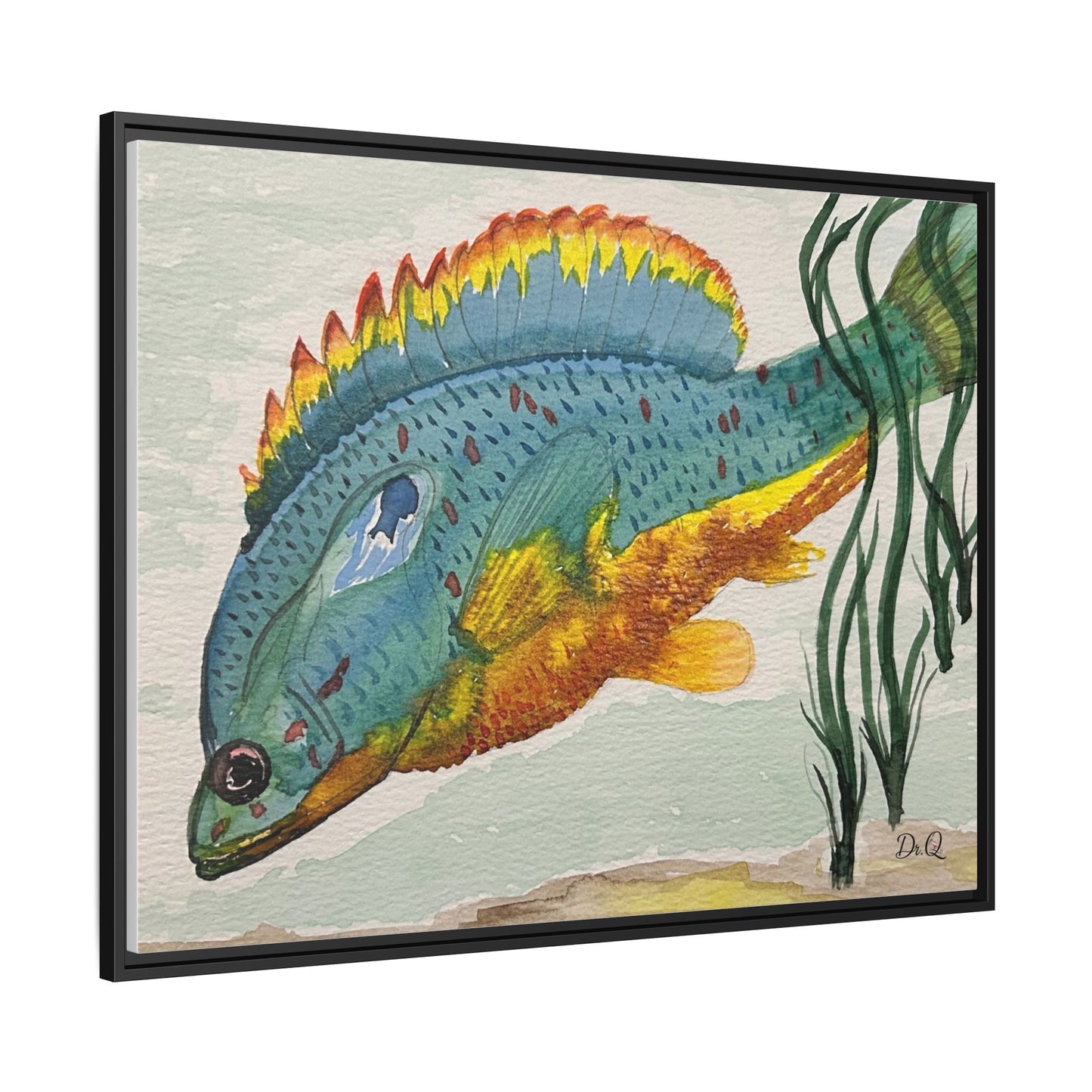 Texas Spotted Sunfish Watercolor Wall Art - Framed Matte Canvas
