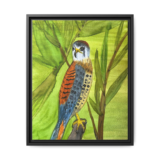 Canvas Wall Art - American Kestrel Watercolor
