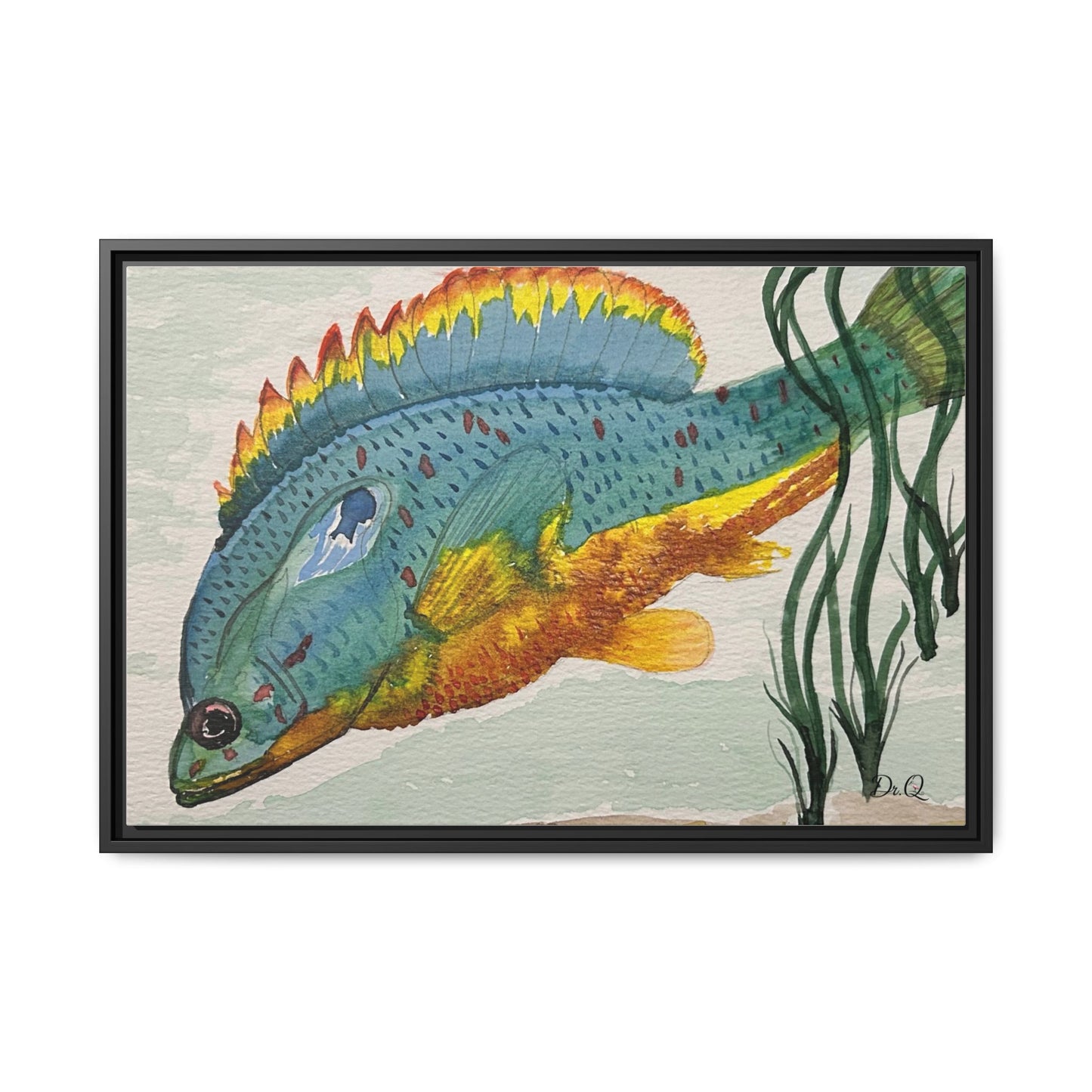 Texas Spotted Sunfish Watercolor Wall Art - Framed Matte Canvas