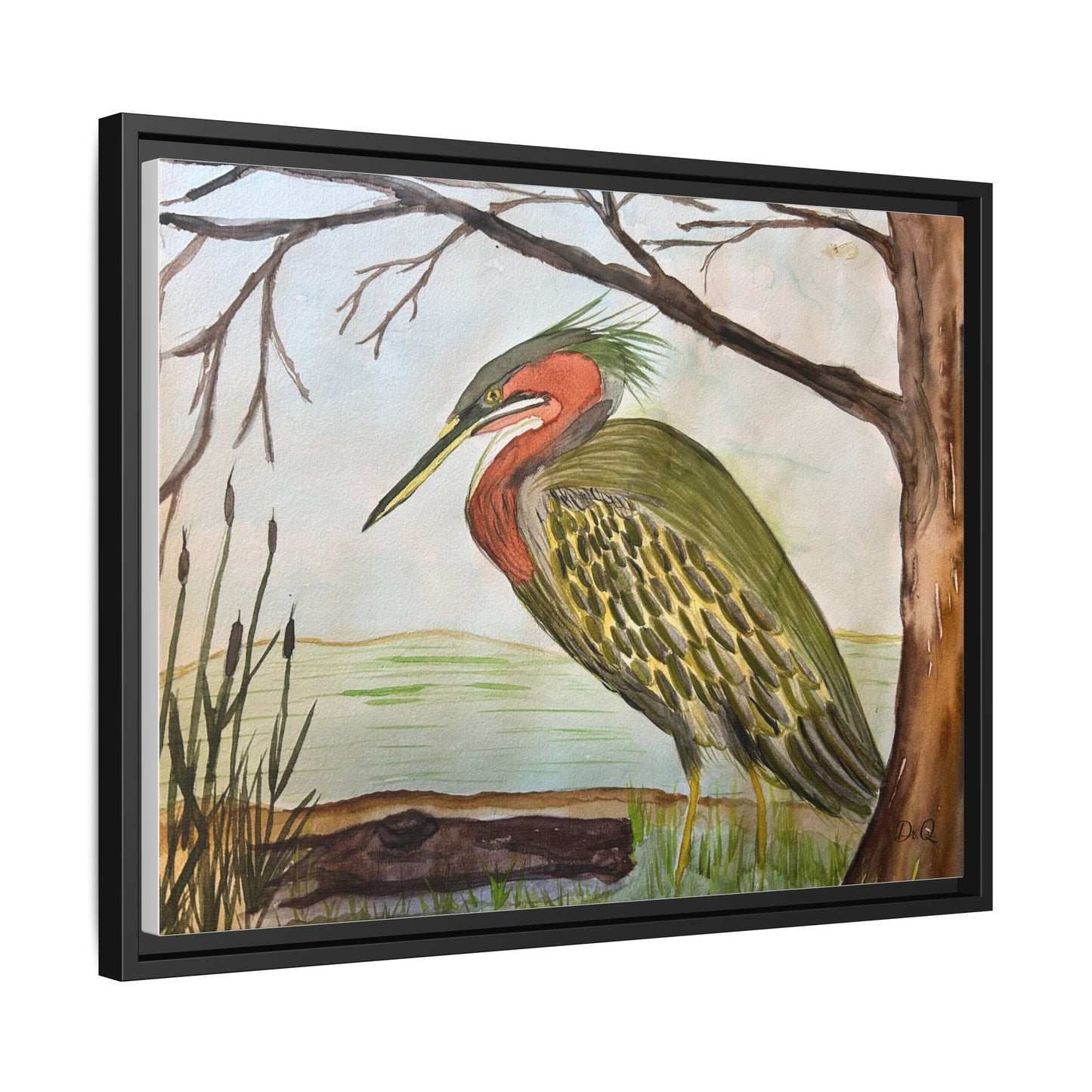 Green Heron Wetlands Print on Canvas