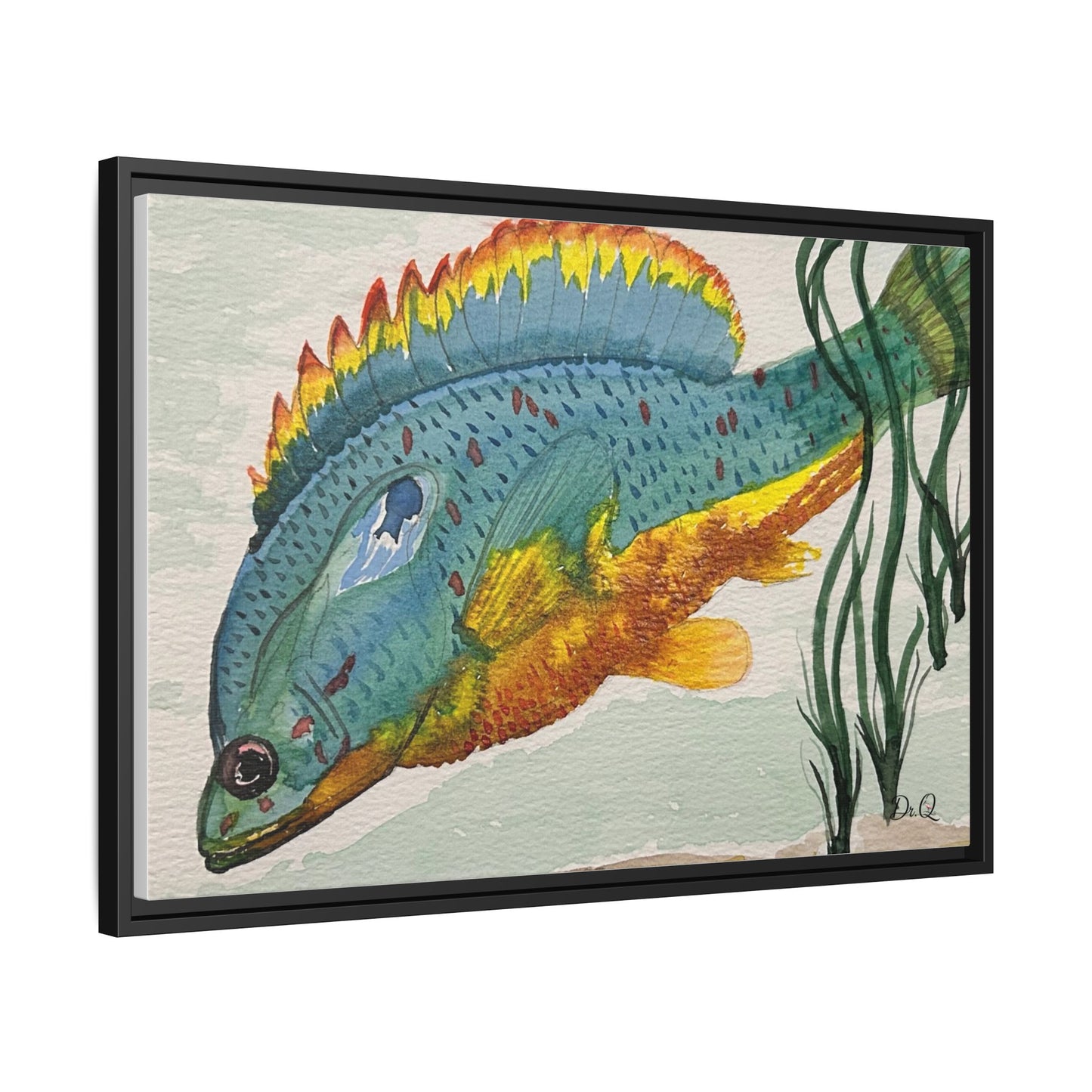 Texas Spotted Sunfish Watercolor Wall Art - Framed Matte Canvas
