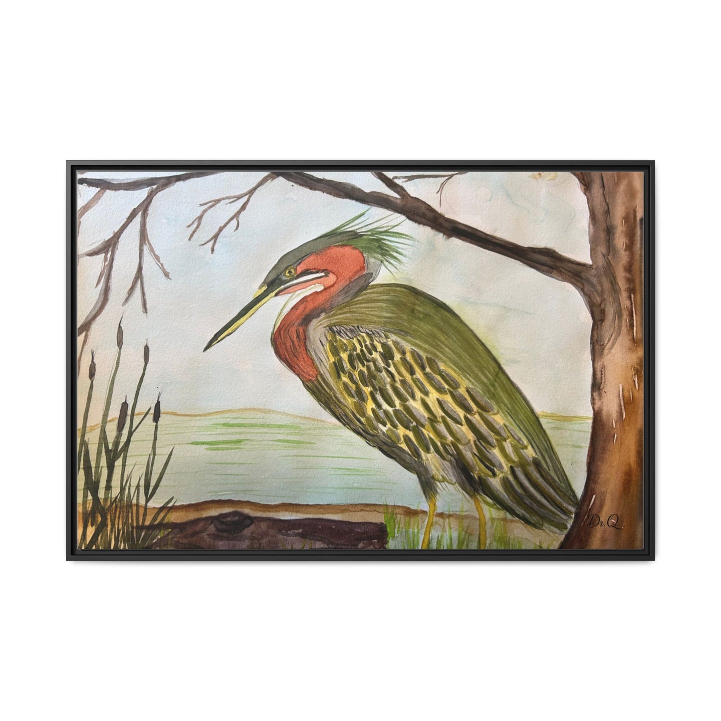 Green Heron Wetlands Print on Canvas