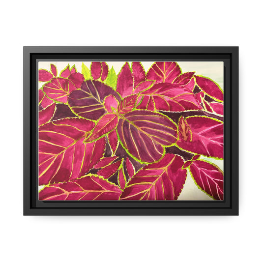 Coleus Matte Canvas, Black Frame