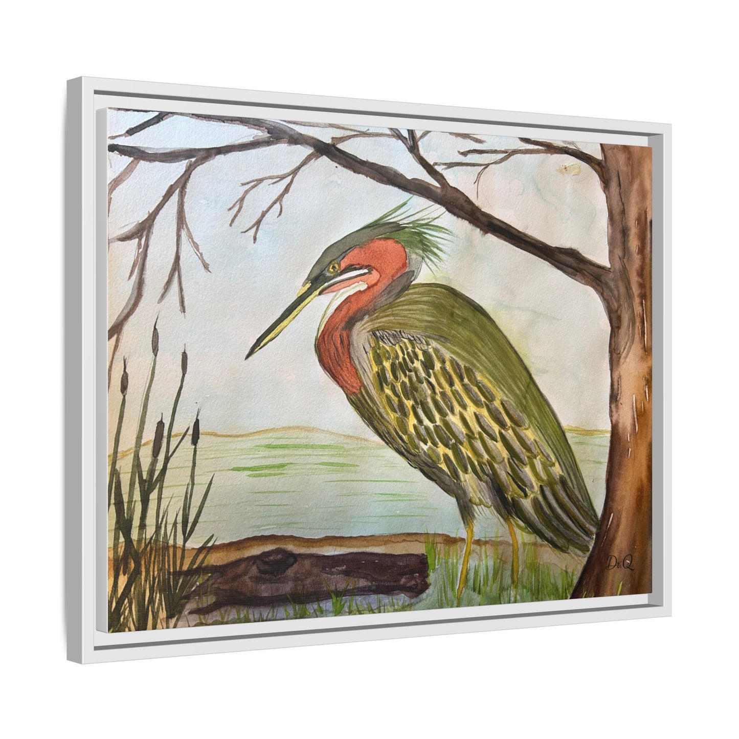 Green Heron Wetlands Print on Canvas