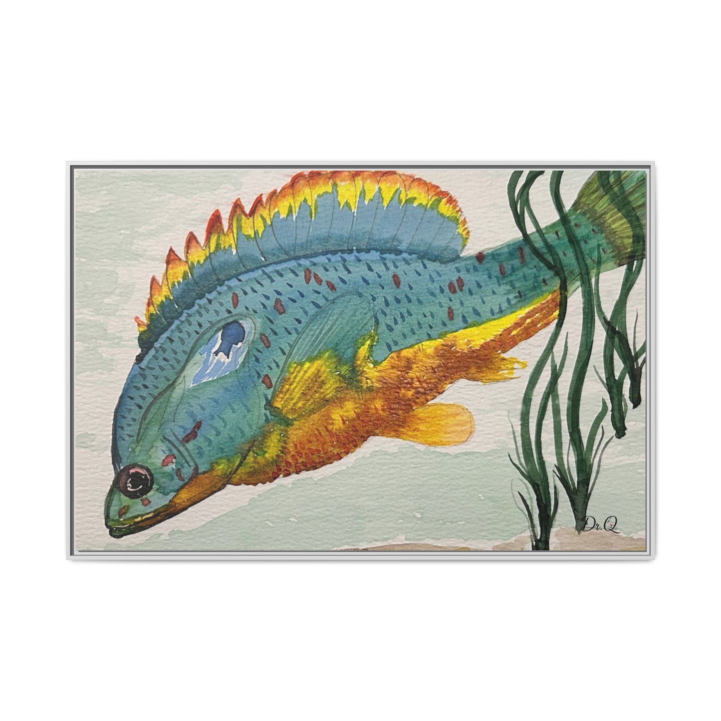 Texas Spotted Sunfish Watercolor Wall Art - Framed Matte Canvas
