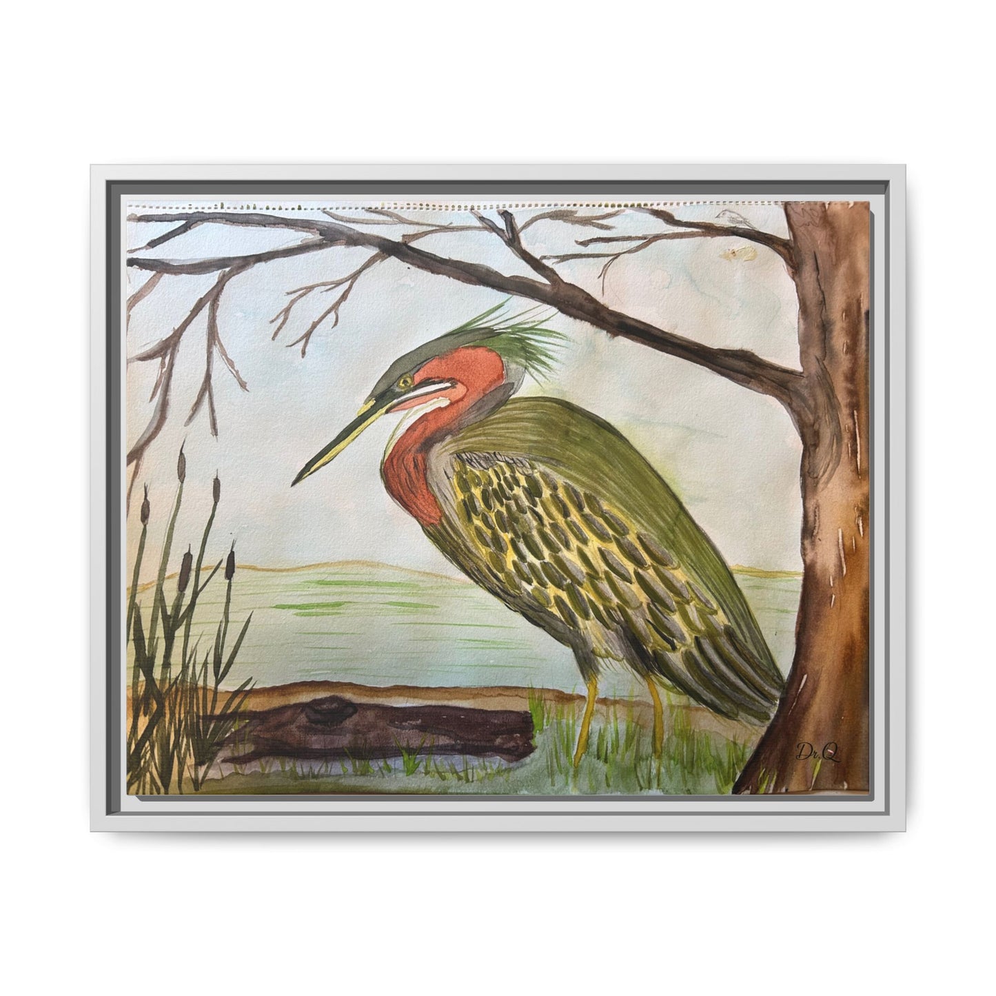 Green Heron Wetlands Print on Canvas
