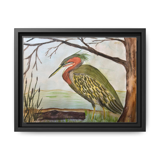 Green Heron Wetlands Print on Canvas