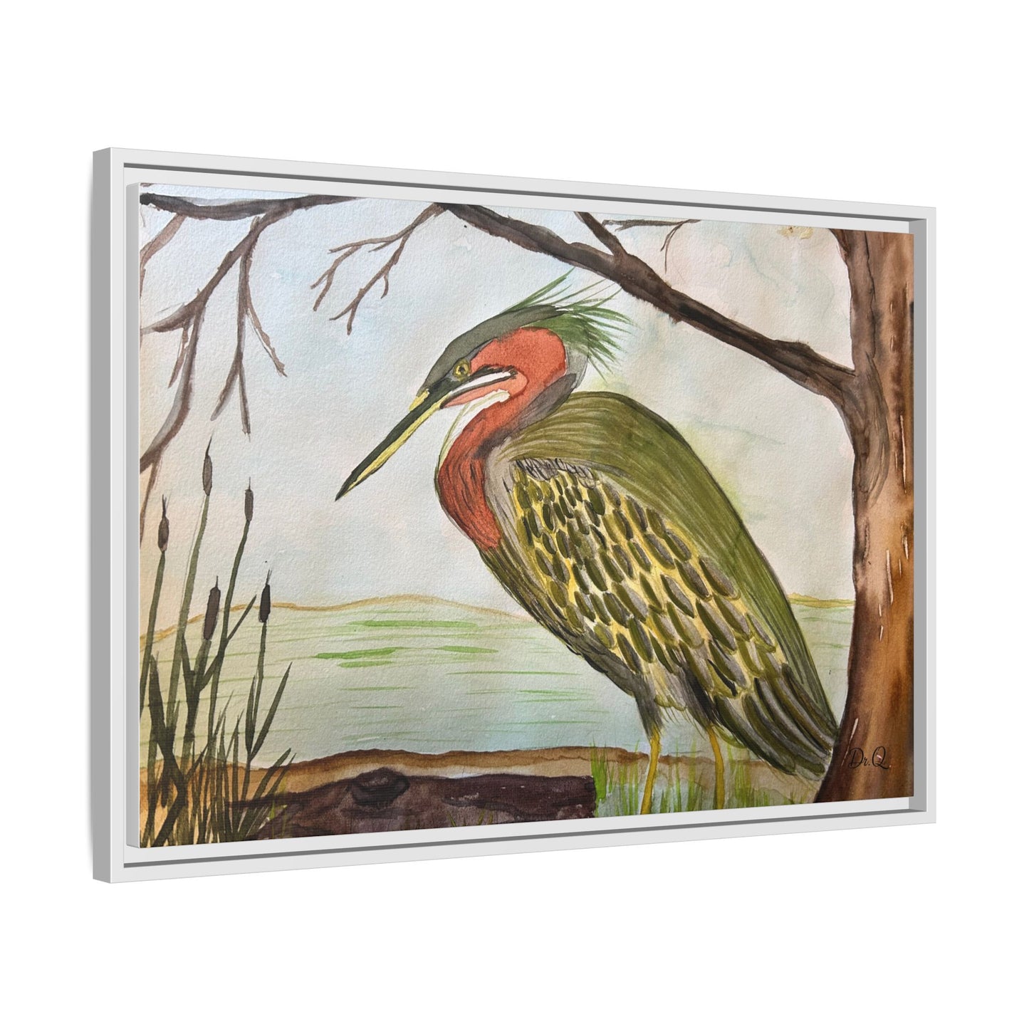 Green Heron Wetlands Print on Canvas