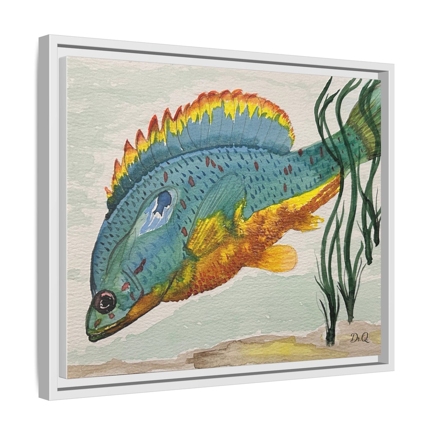 Texas Spotted Sunfish Watercolor Wall Art - Framed Matte Canvas