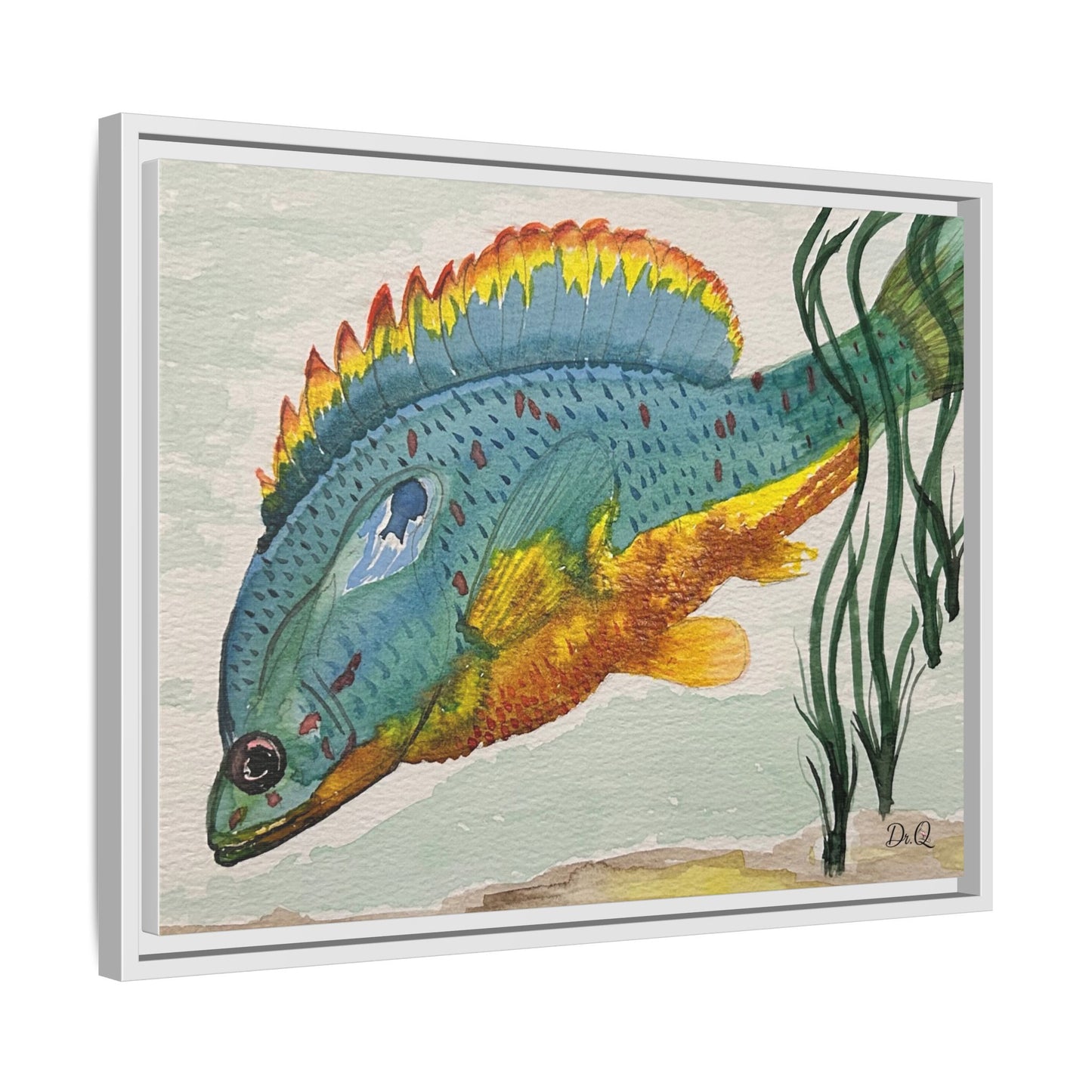 Texas Spotted Sunfish Watercolor Wall Art - Framed Matte Canvas