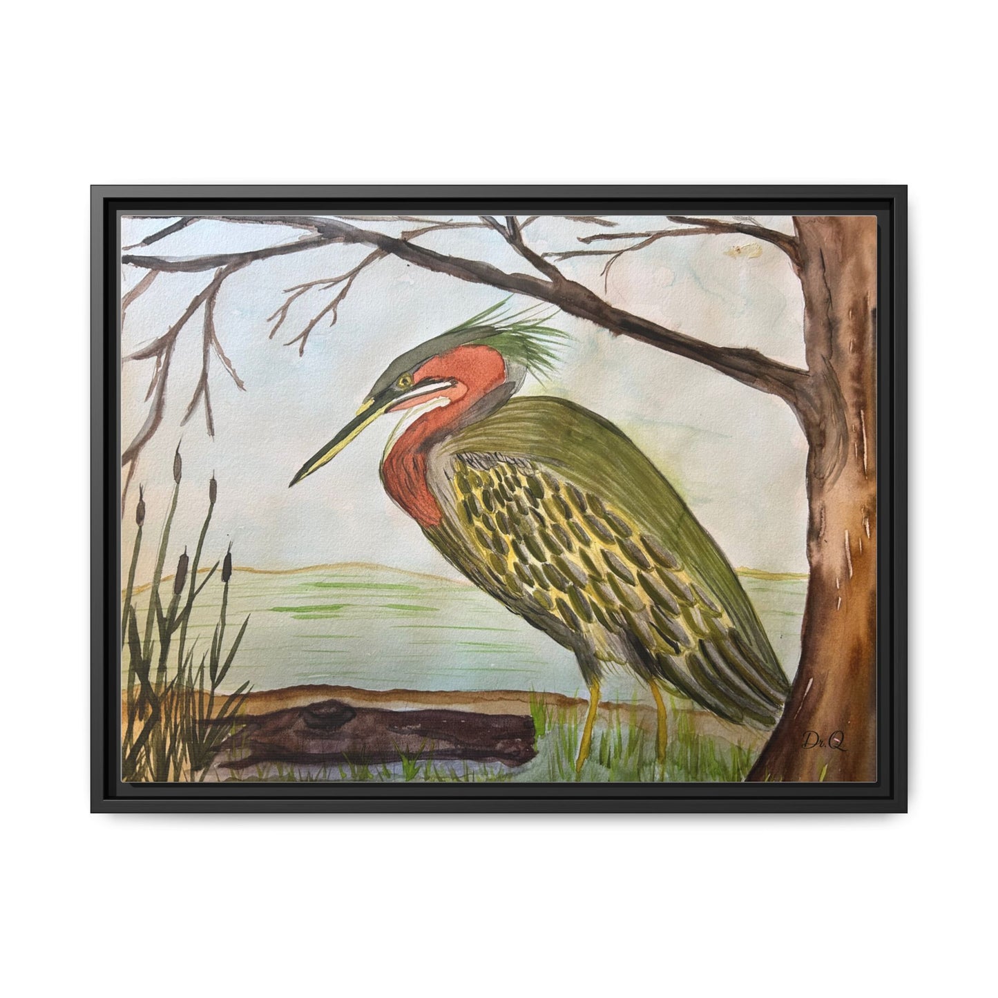 Green Heron Wetlands Print on Canvas