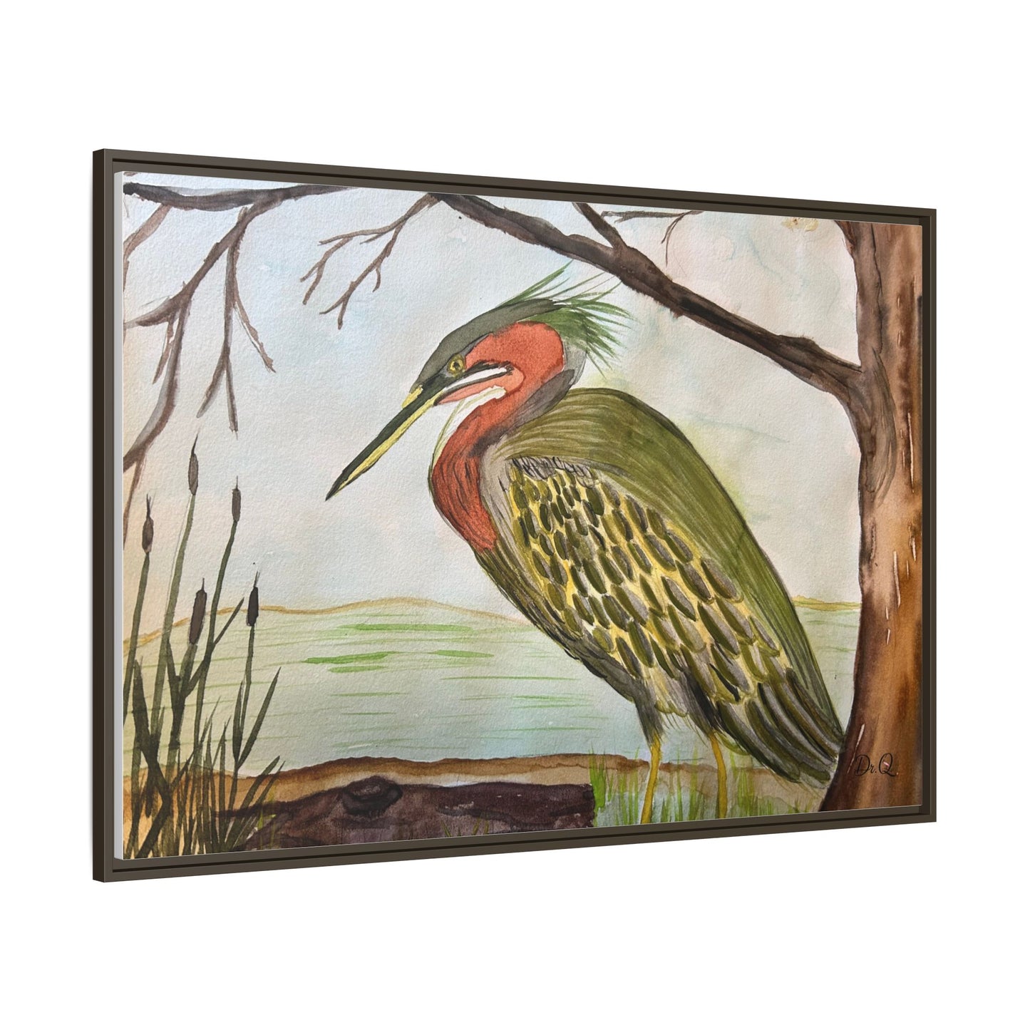 Green Heron Wetlands Print on Canvas
