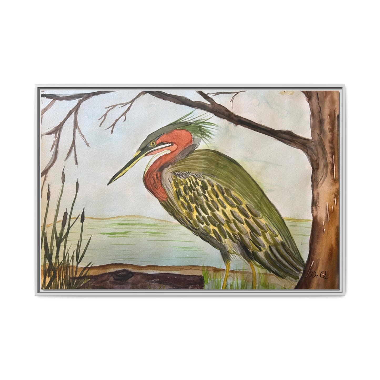 Green Heron Wetlands Print on Canvas