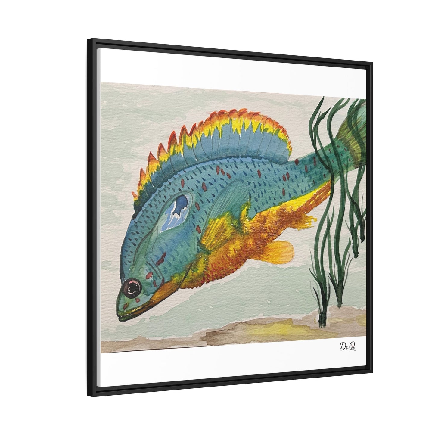 Texas Spotted Sunfish Watercolor Wall Art - Framed Matte Canvas