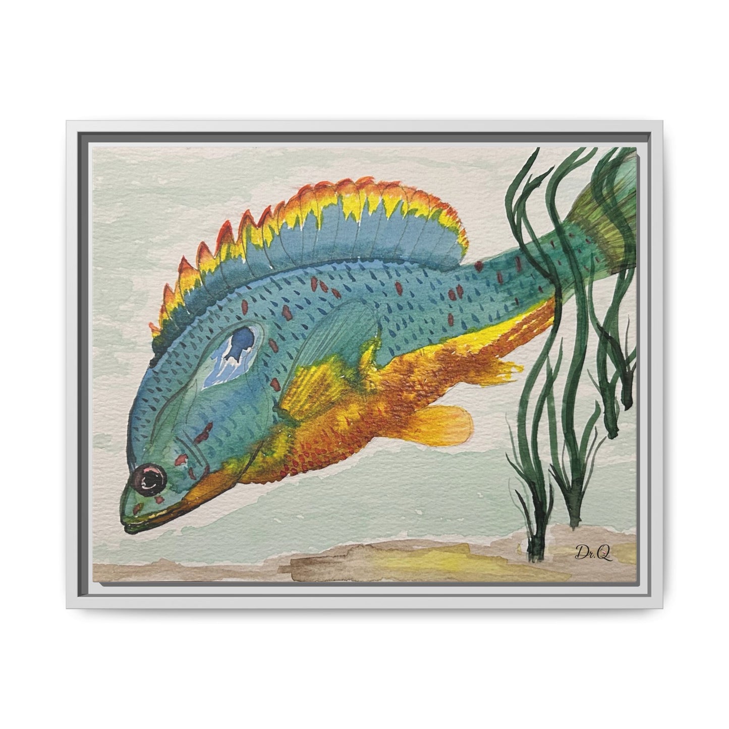 Texas Spotted Sunfish Watercolor Wall Art - Framed Matte Canvas