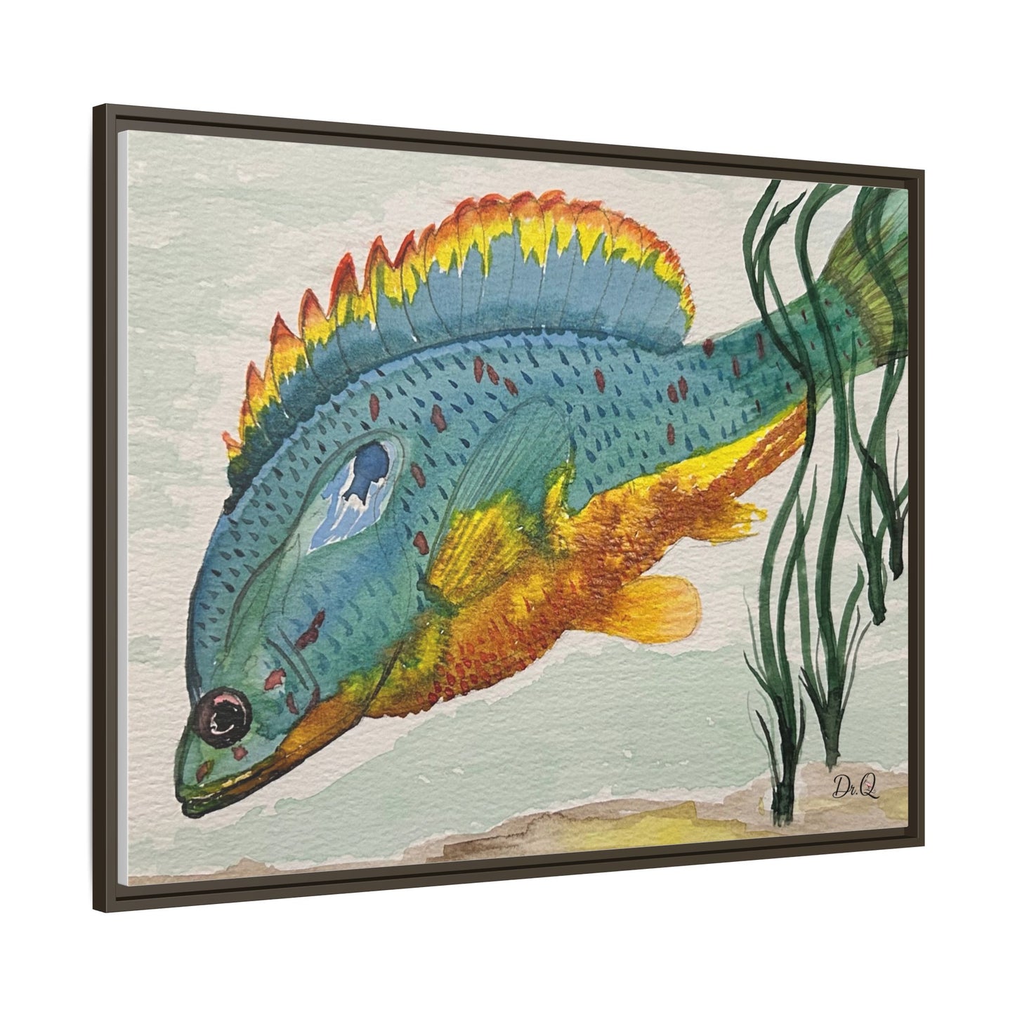 Texas Spotted Sunfish Watercolor Wall Art - Framed Matte Canvas
