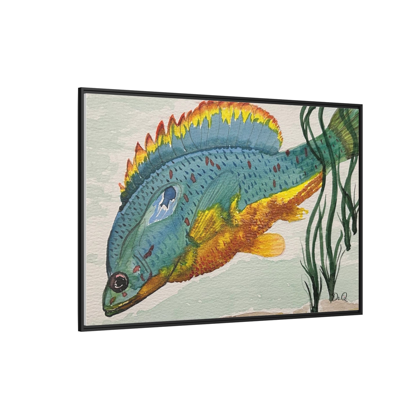 Texas Spotted Sunfish Watercolor Wall Art - Framed Matte Canvas