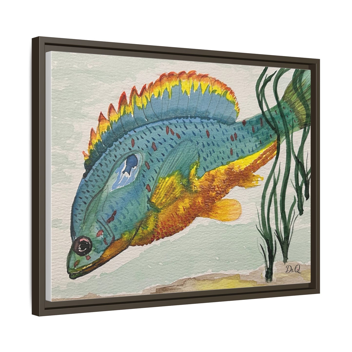 Texas Spotted Sunfish Watercolor Wall Art - Framed Matte Canvas