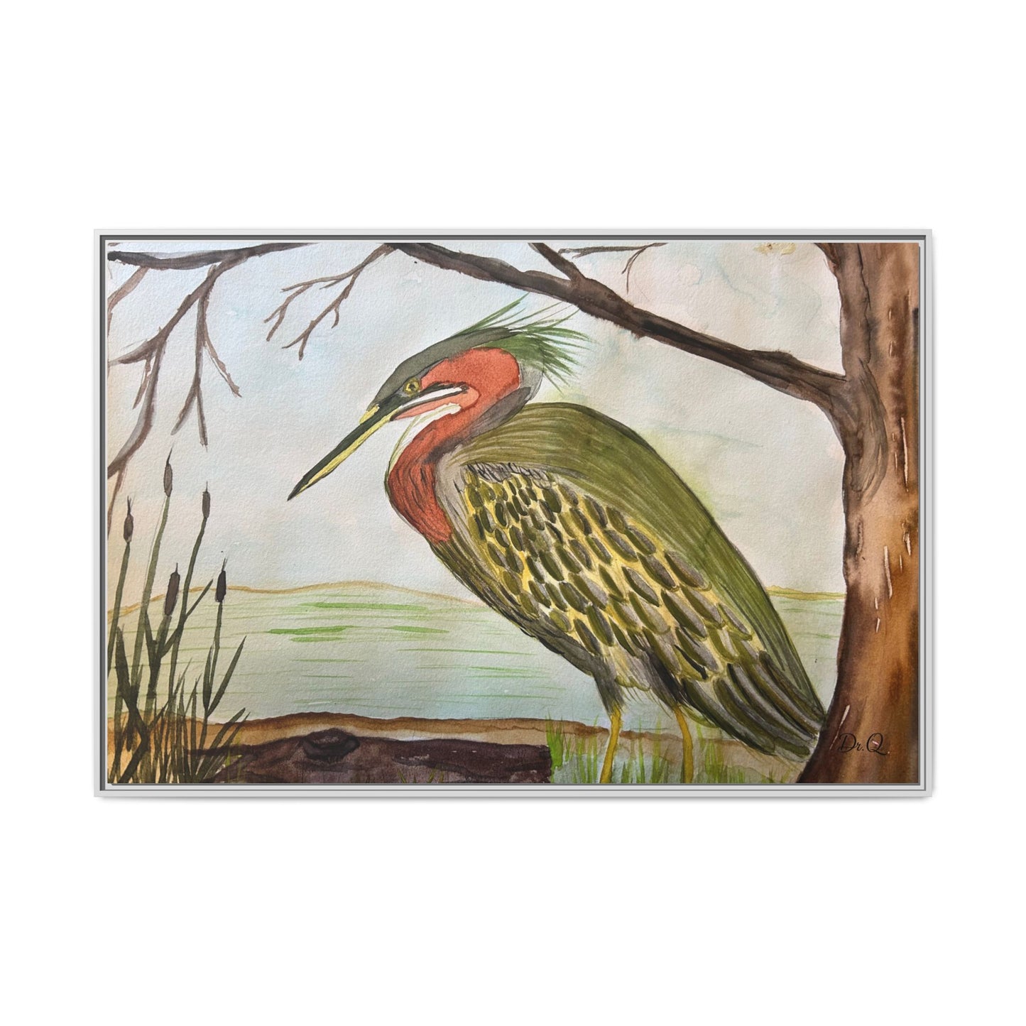 Green Heron Wetlands Print on Canvas