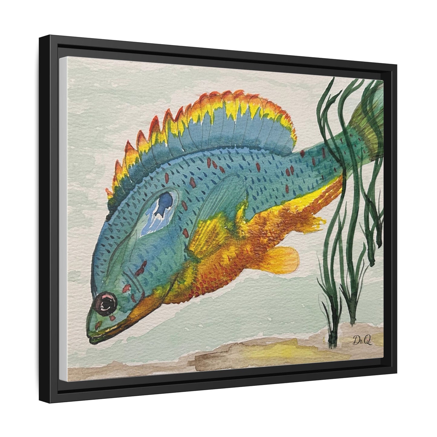 Texas Spotted Sunfish Watercolor Wall Art - Framed Matte Canvas