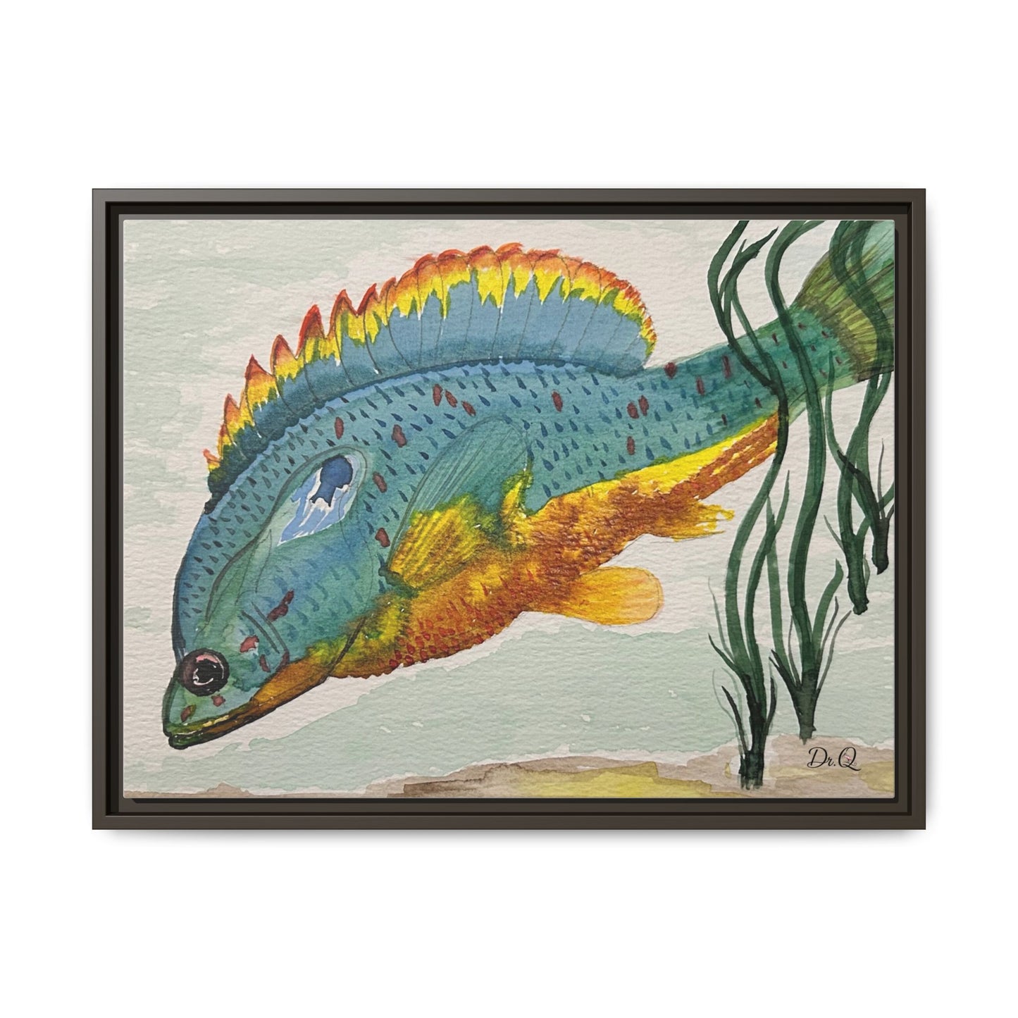 Texas Spotted Sunfish Watercolor Wall Art - Framed Matte Canvas