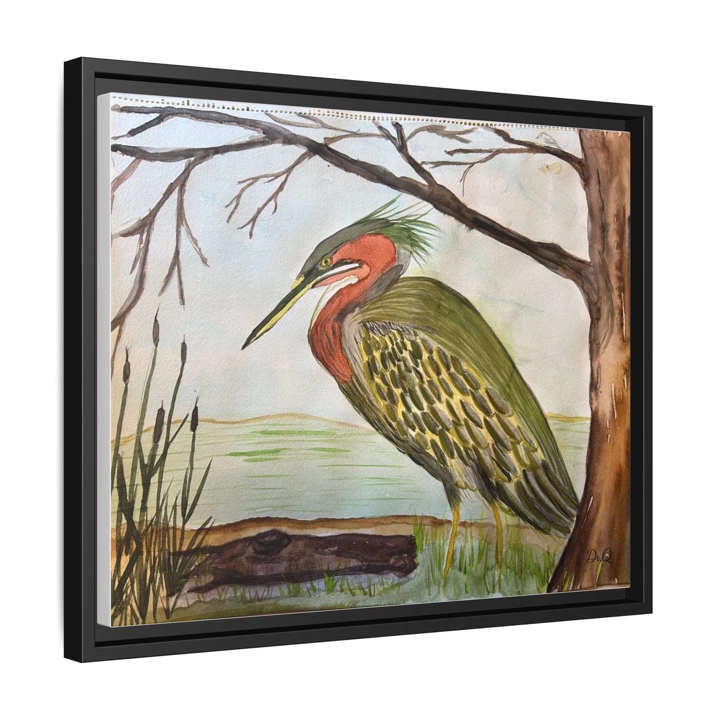 Green Heron Wetlands Print on Canvas