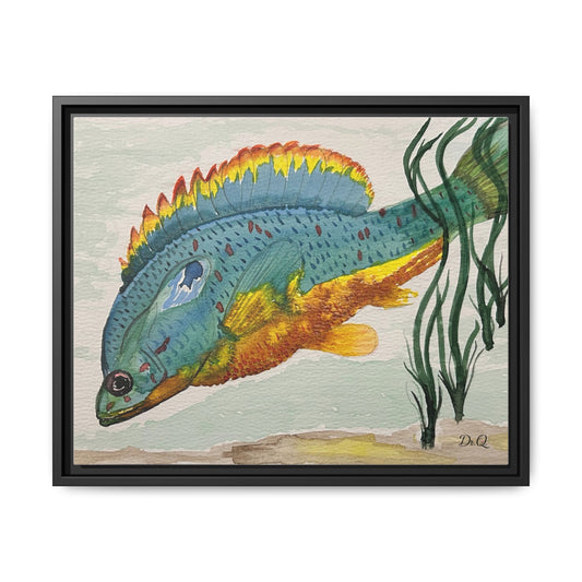 Texas Spotted Sunfish Watercolor Wall Art - Framed Matte Canvas