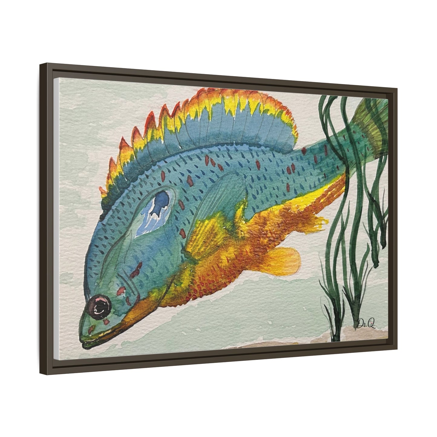 Texas Spotted Sunfish Watercolor Wall Art - Framed Matte Canvas