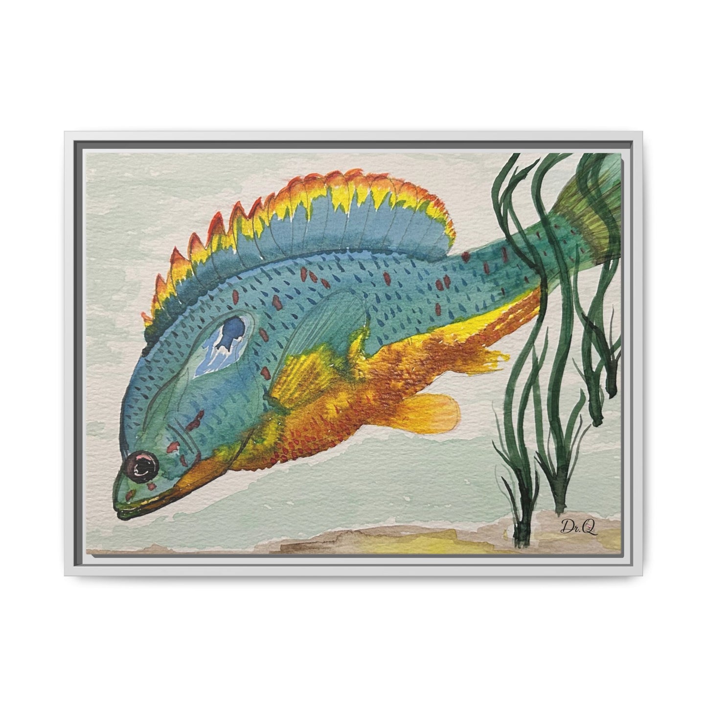 Texas Spotted Sunfish Watercolor Wall Art - Framed Matte Canvas