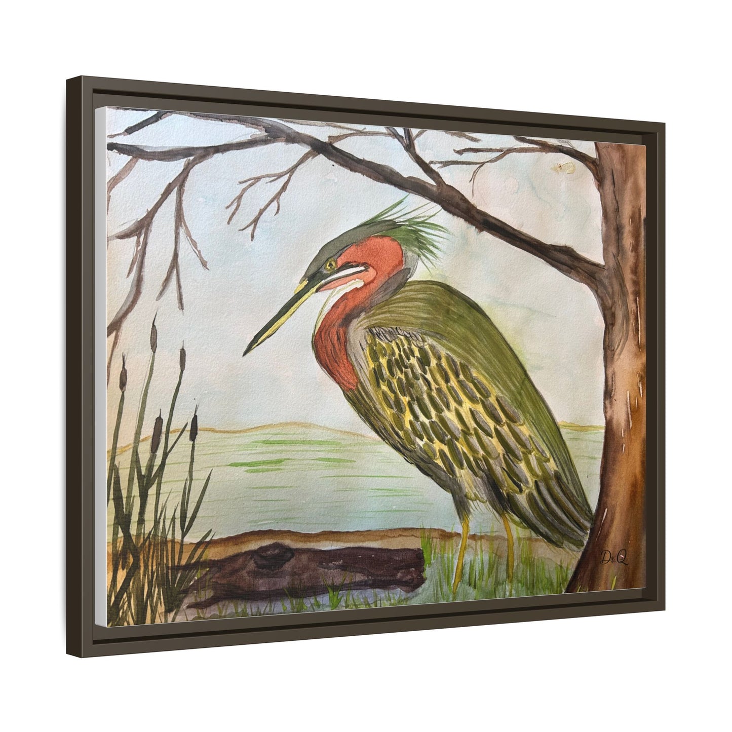 Green Heron Wetlands Print on Canvas