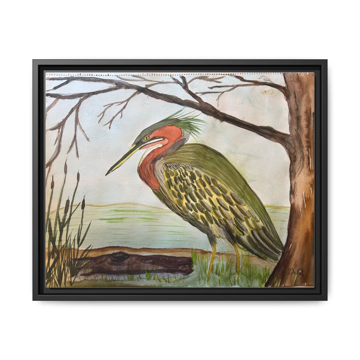 Green Heron Wetlands Print on Canvas