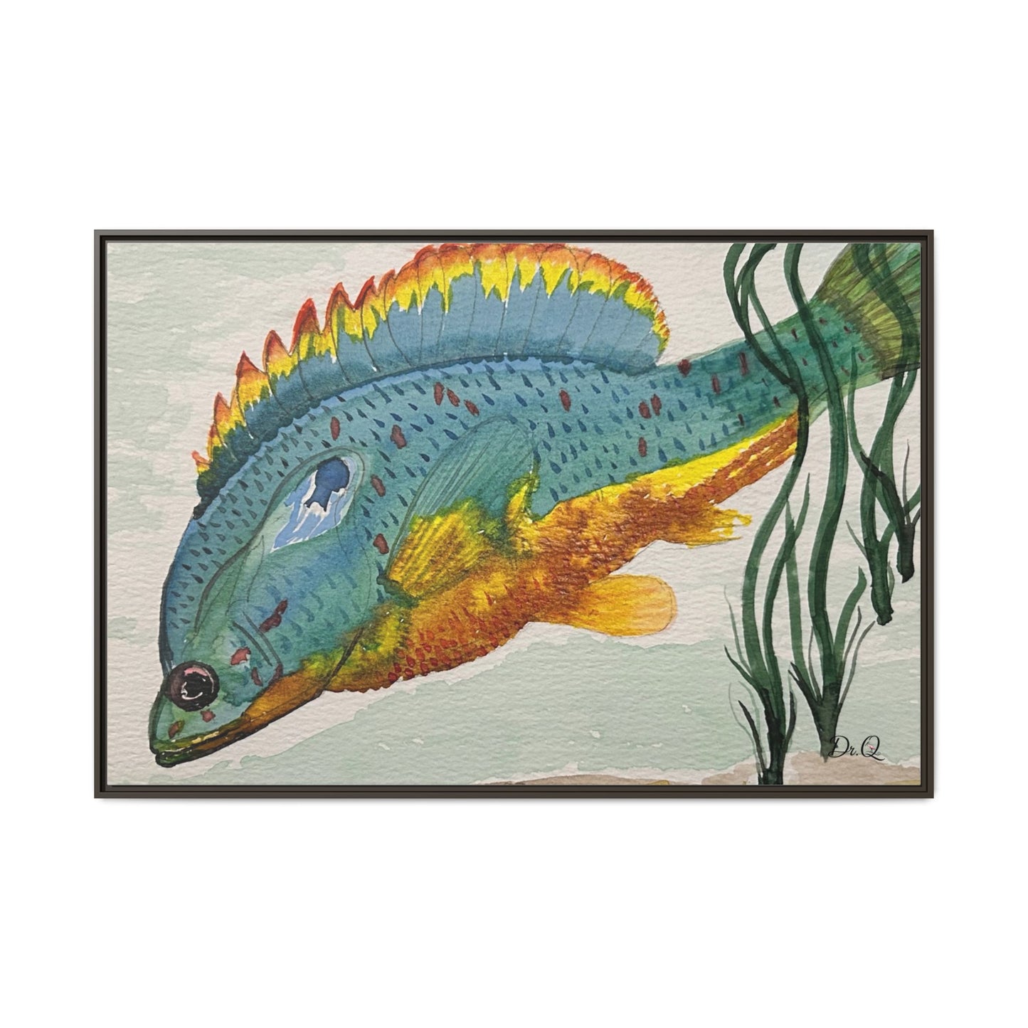 Texas Spotted Sunfish Watercolor Wall Art - Framed Matte Canvas