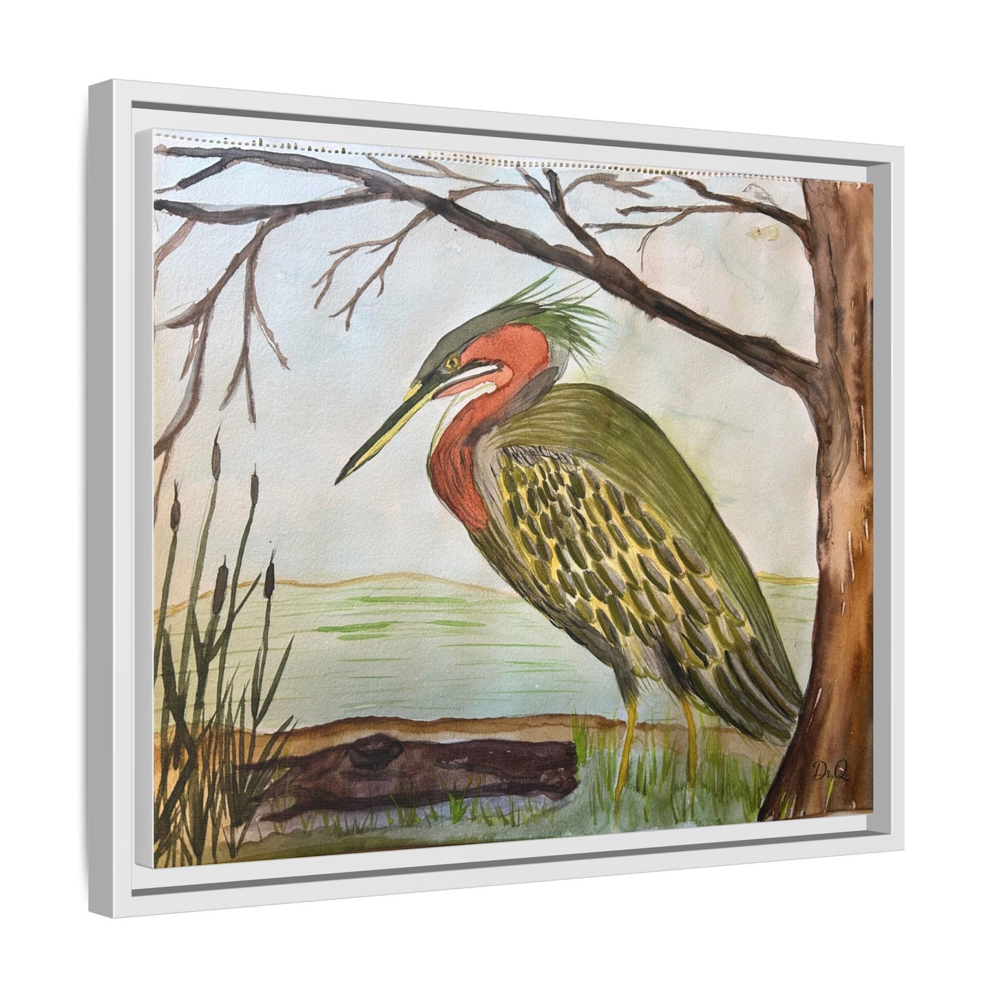 Green Heron Wetlands Print on Canvas