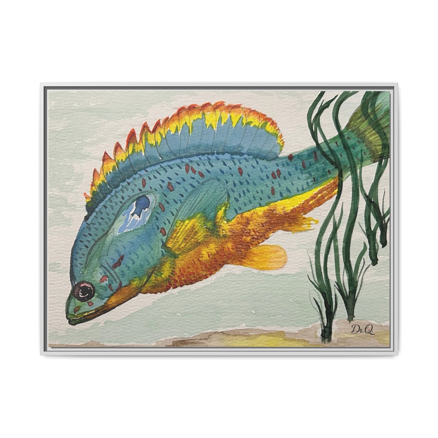 Texas Spotted Sunfish Watercolor Wall Art - Framed Matte Canvas