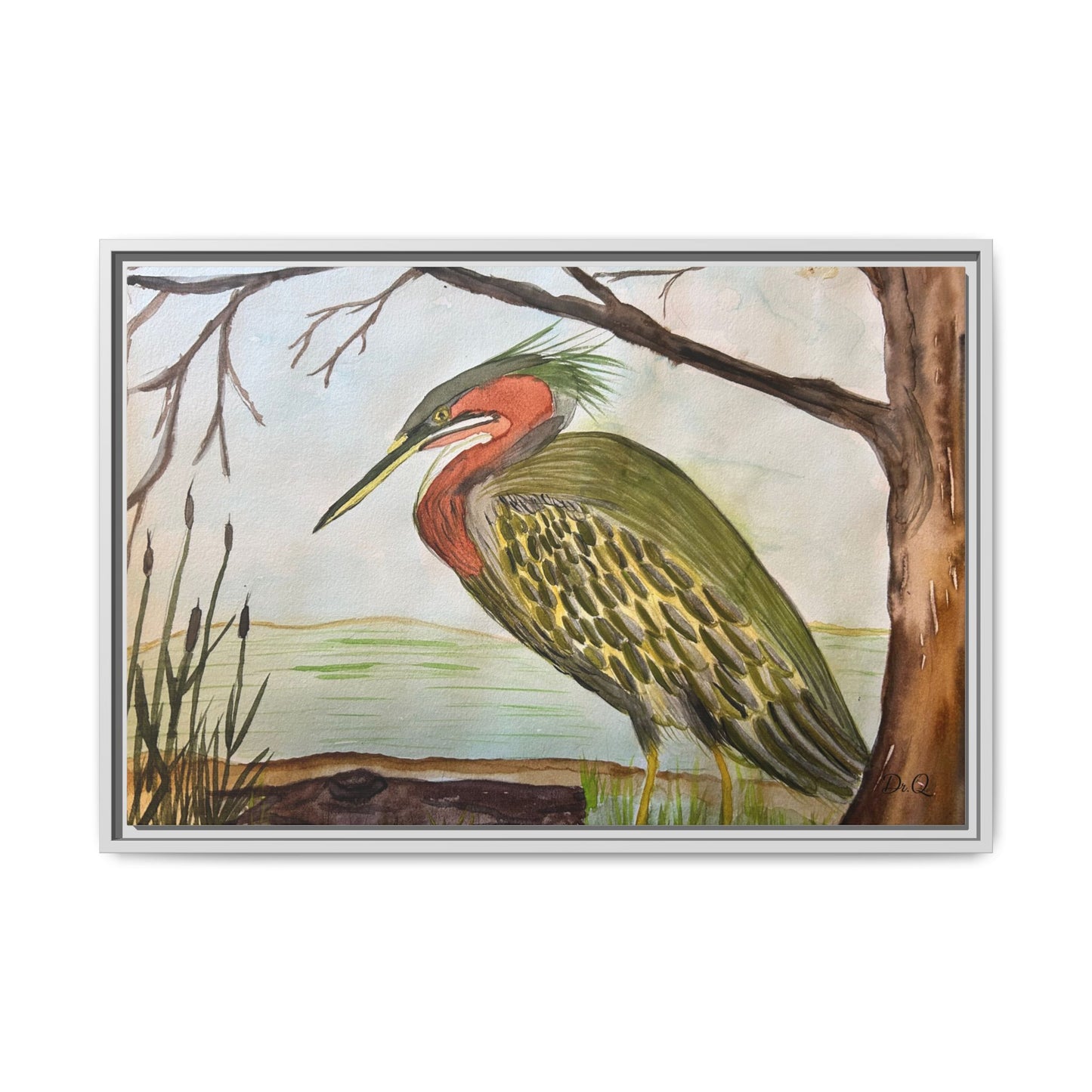 Green Heron Wetlands Print on Canvas