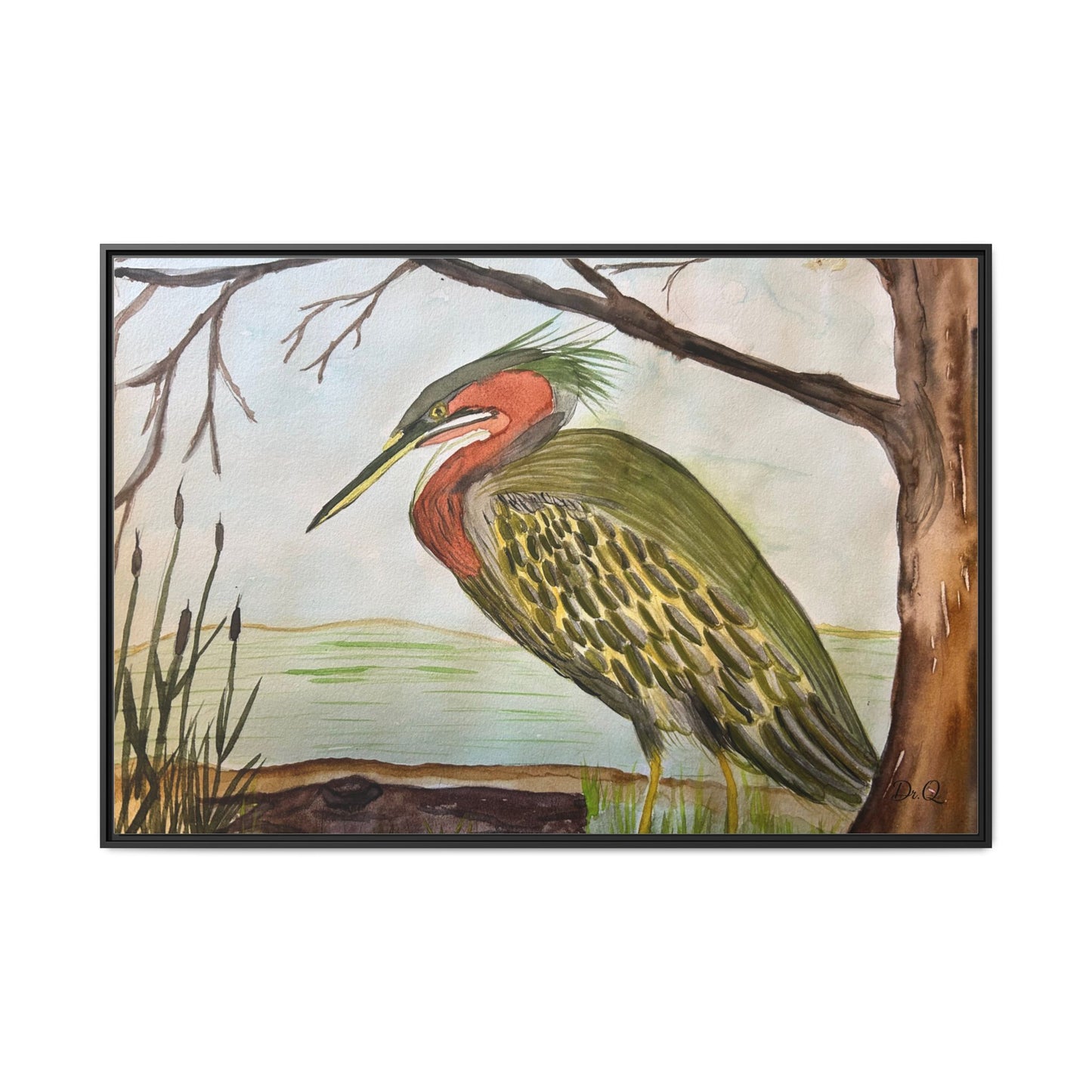 Green Heron Wetlands Print on Canvas