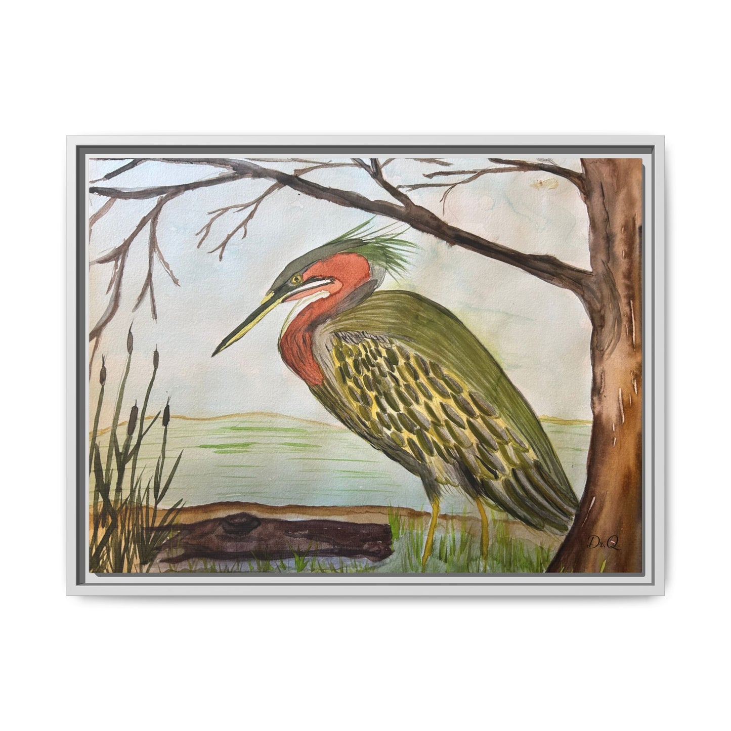Green Heron Wetlands Print on Canvas