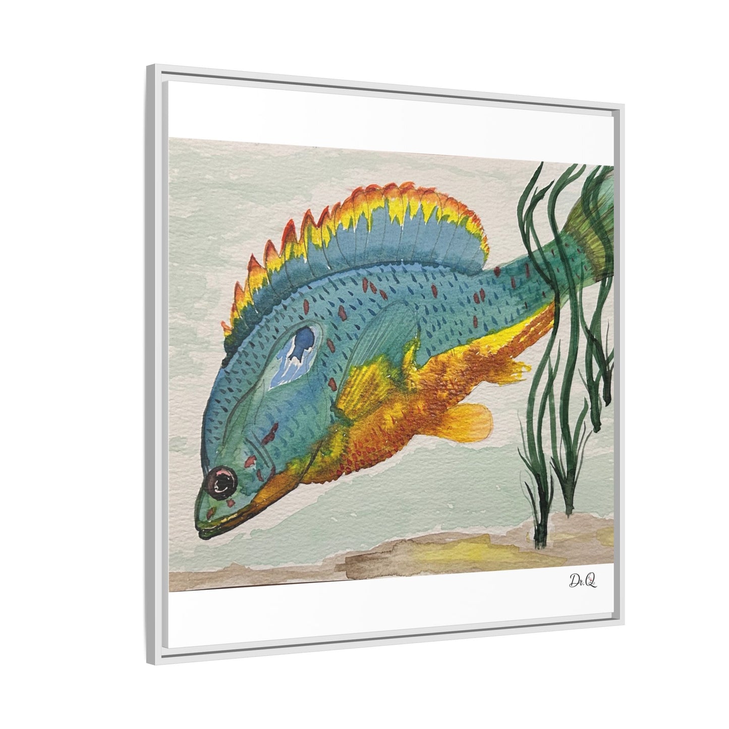Texas Spotted Sunfish Watercolor Wall Art - Framed Matte Canvas