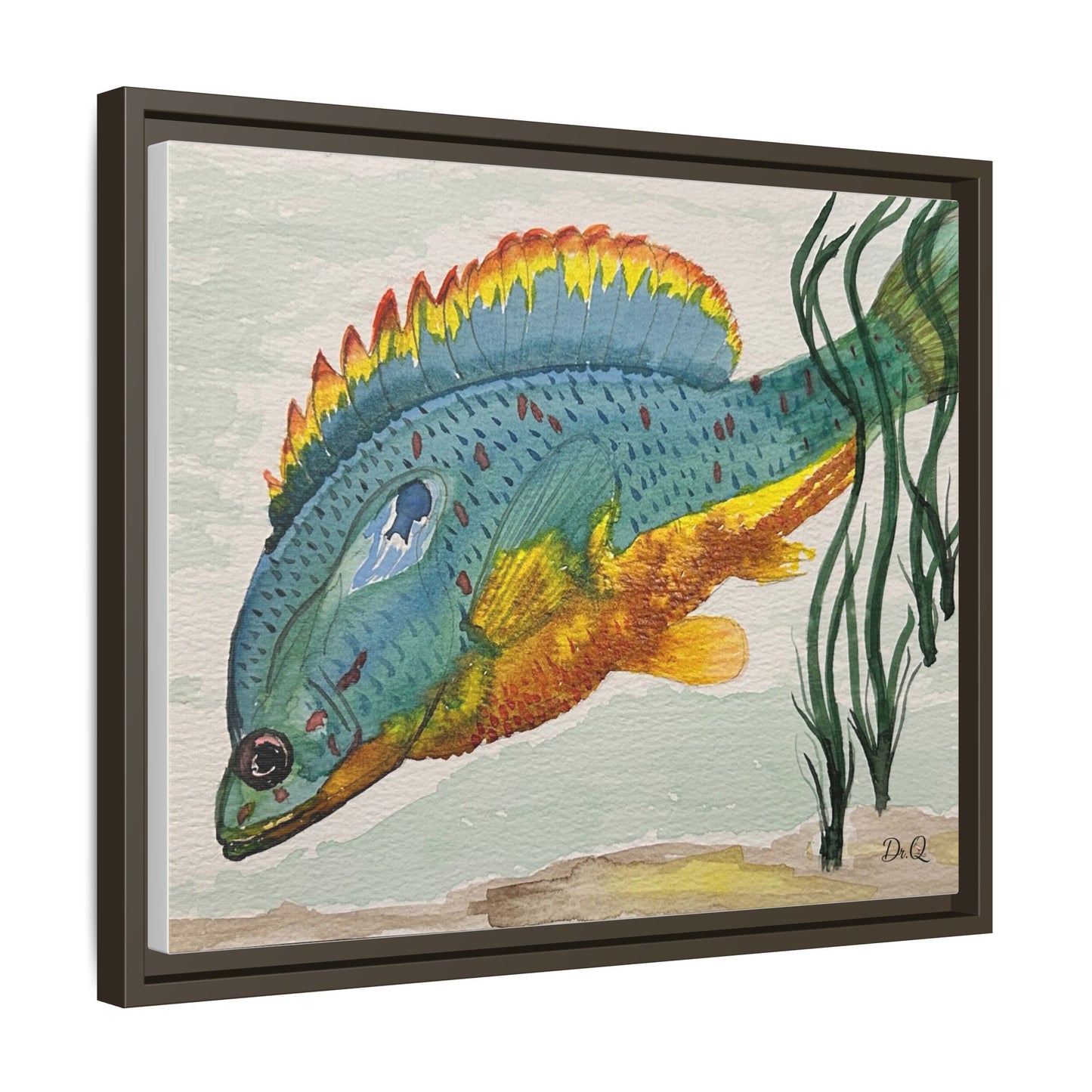 Texas Spotted Sunfish Watercolor Wall Art - Framed Matte Canvas