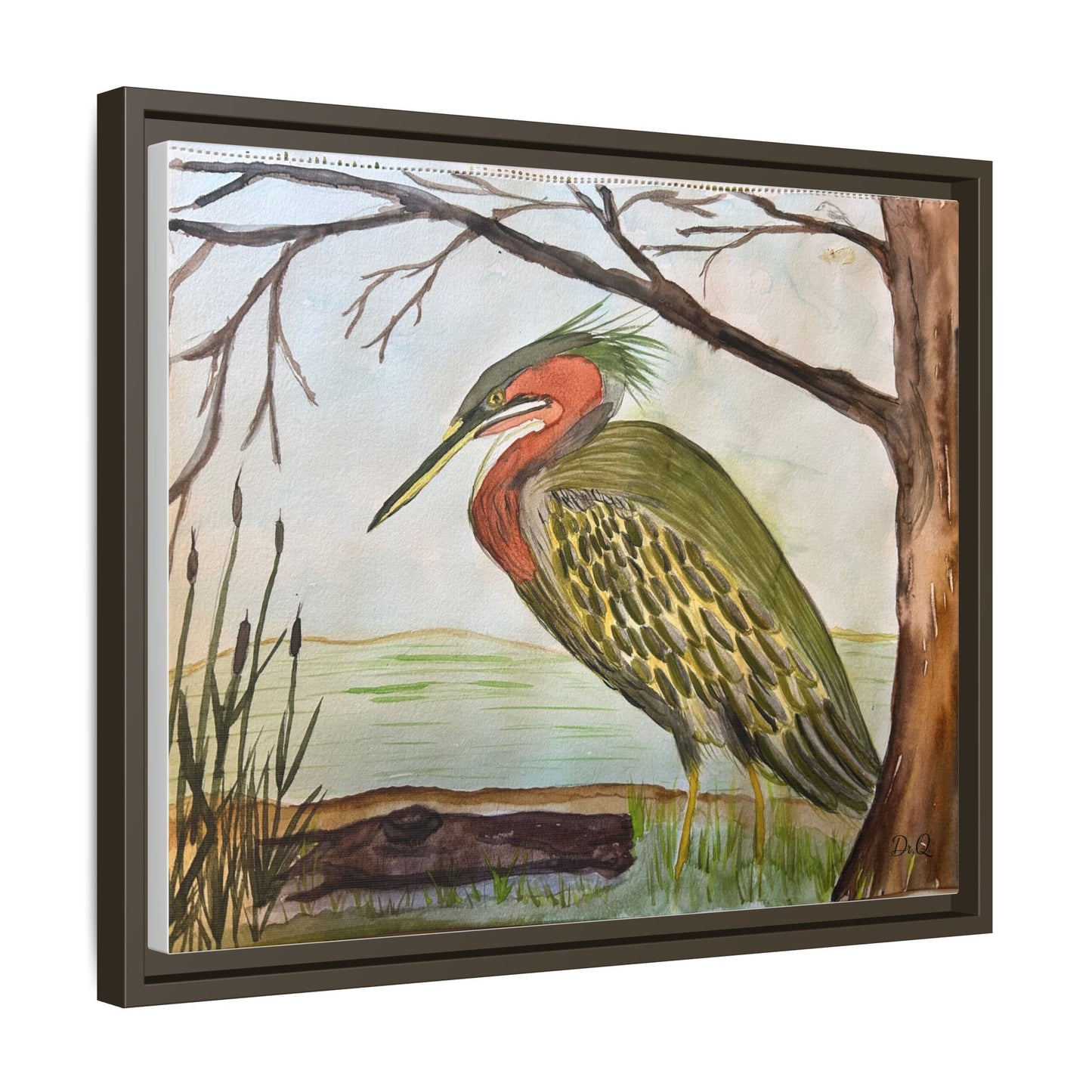 Green Heron Wetlands Print on Canvas