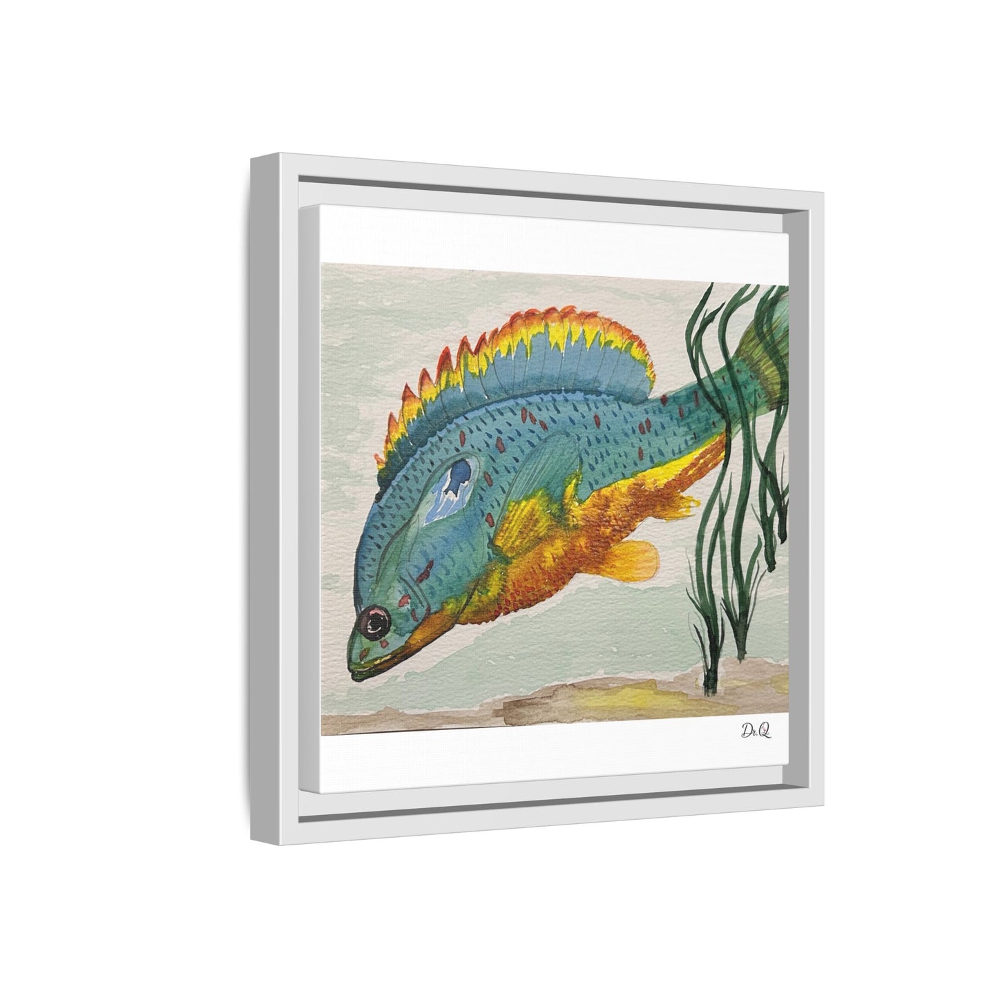 Texas Spotted Sunfish Watercolor Wall Art - Framed Matte Canvas