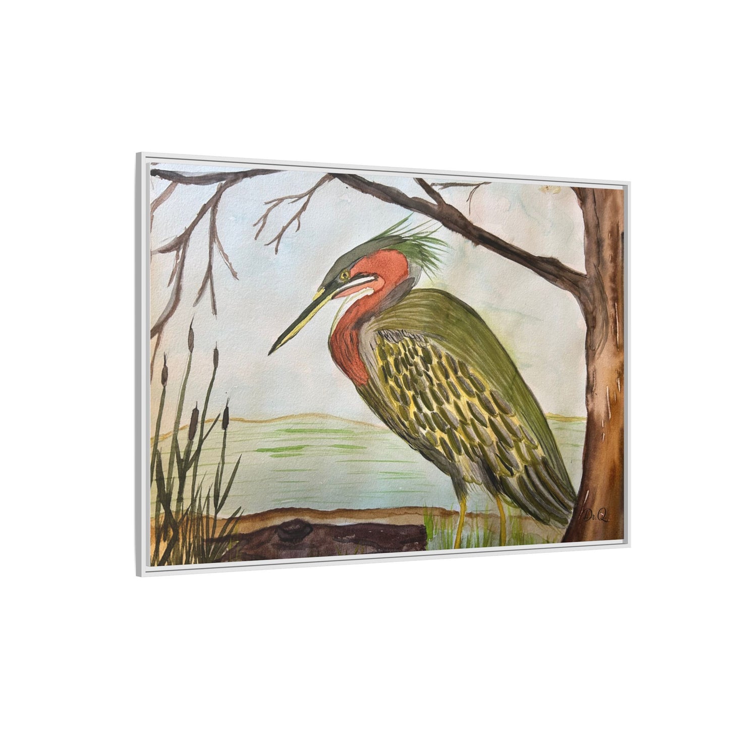 Green Heron Wetlands Print on Canvas