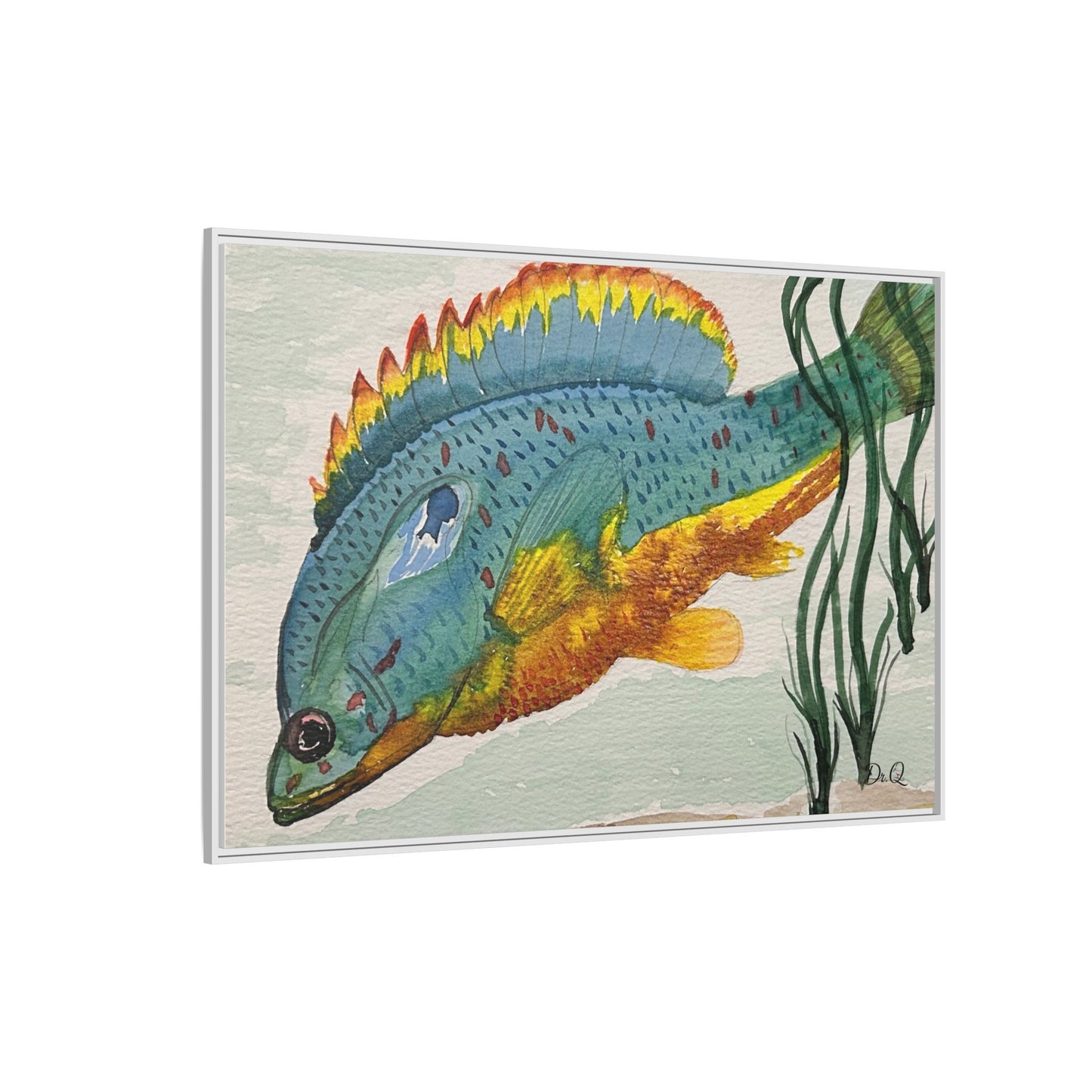 Texas Spotted Sunfish Watercolor Wall Art - Framed Matte Canvas
