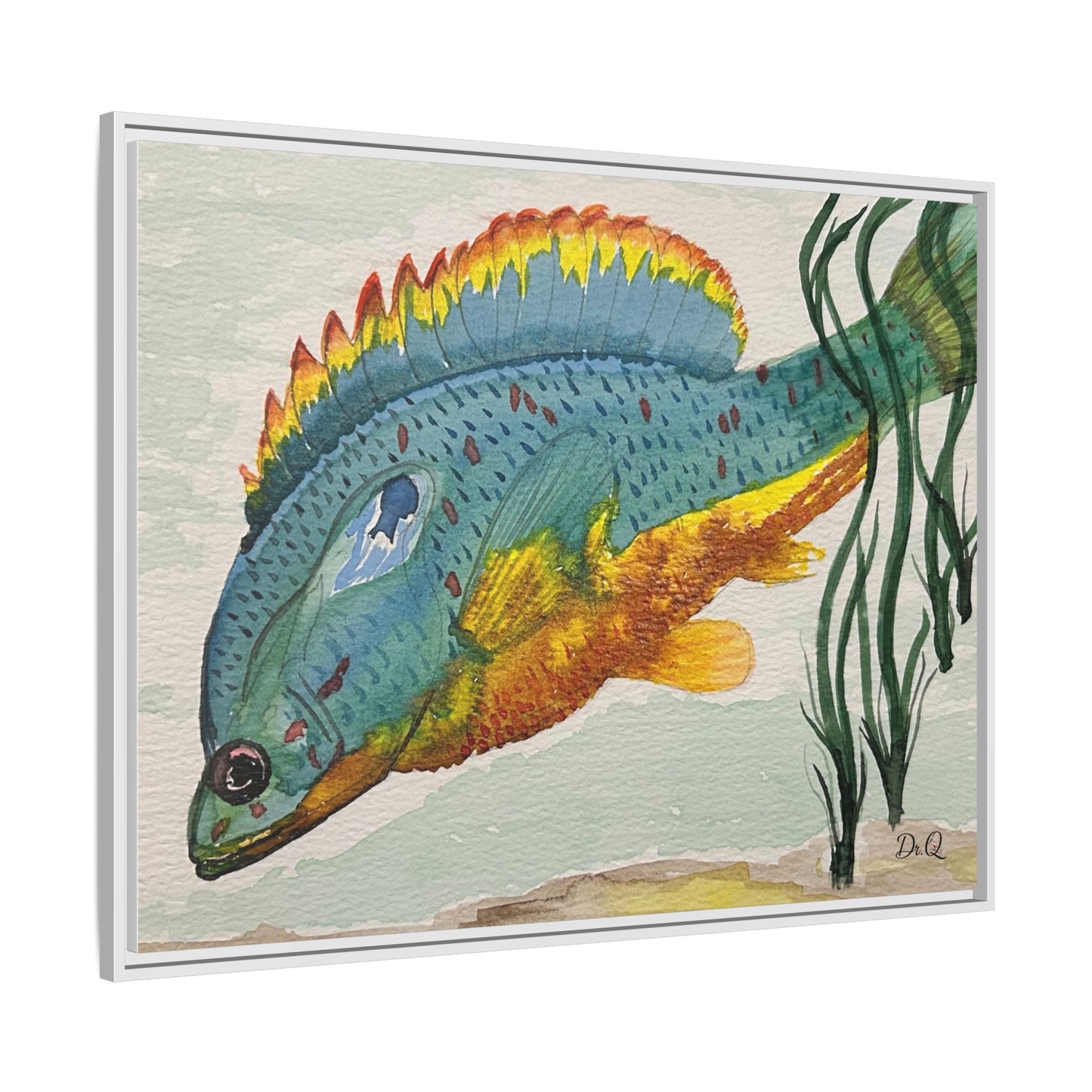 Texas Spotted Sunfish Watercolor Wall Art - Framed Matte Canvas