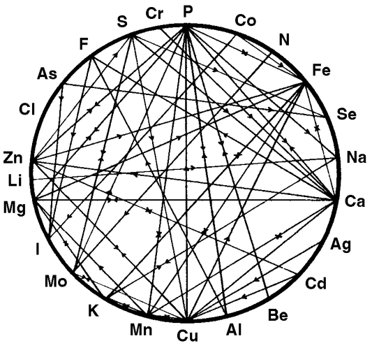 Hair Mineral Analysis